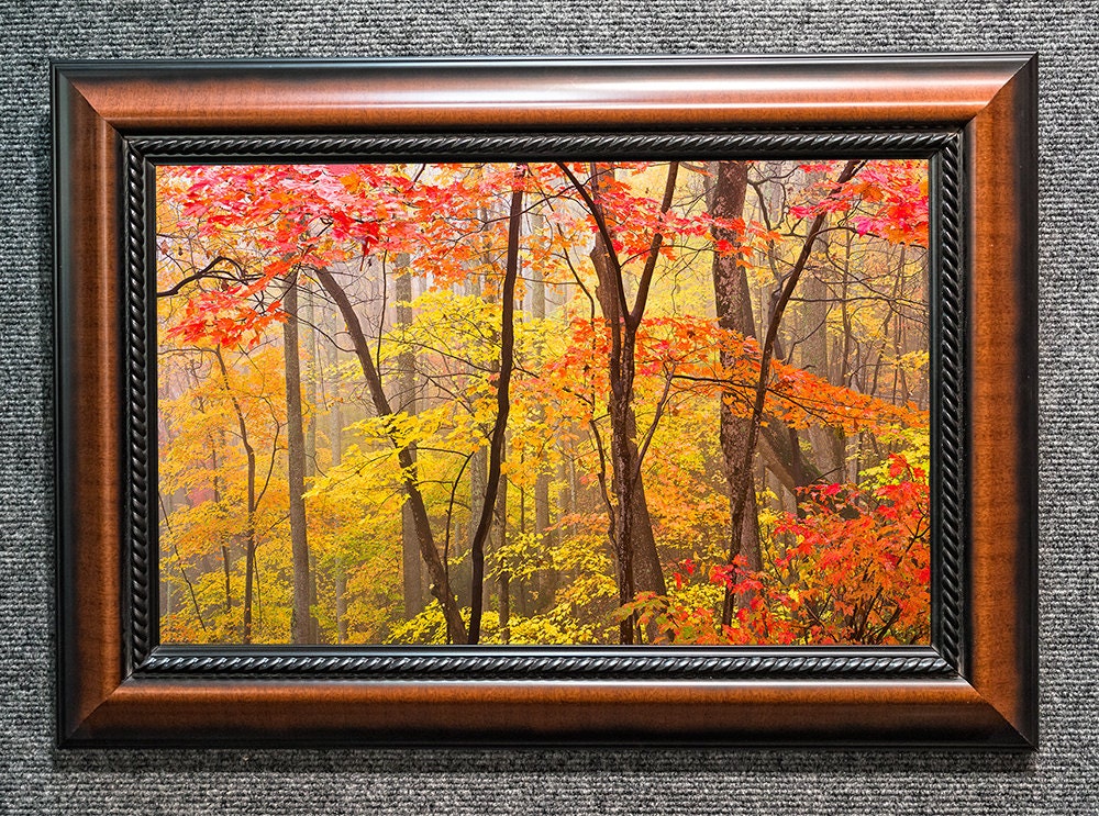 Framed Smoky Mountains Pictures Autumn Yellow and Red Fine Art Etsy