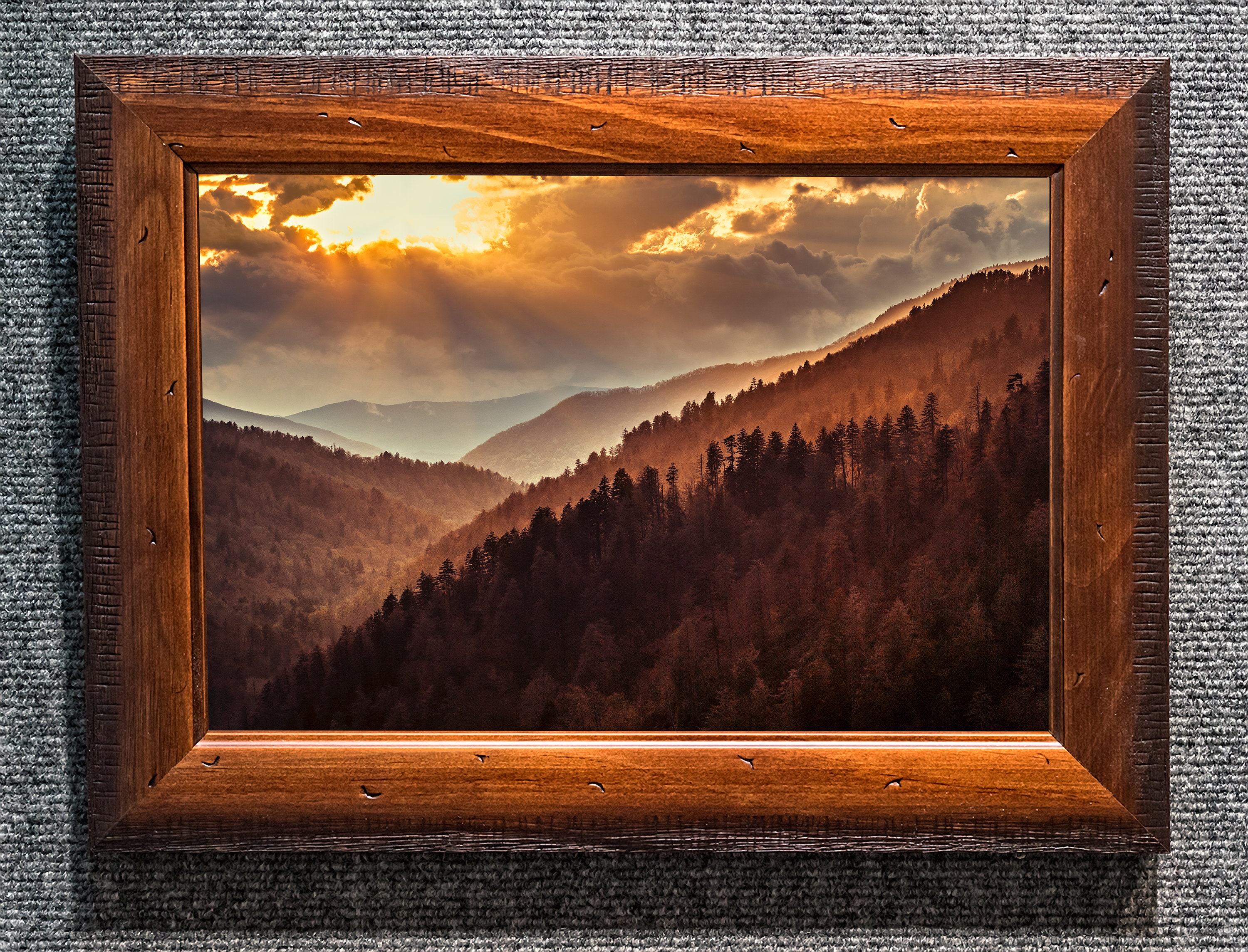 Great Smoky Mountains Pictures on Metal Dogwood Home  Fine Art Photography William Britten