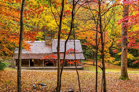 Sale Cabin In The Woods In The Smoky Mountains Fine Art Photo Etsy