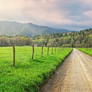 Cades Cove Morning in the Smoky Mountains Fine Art Print from William Britten