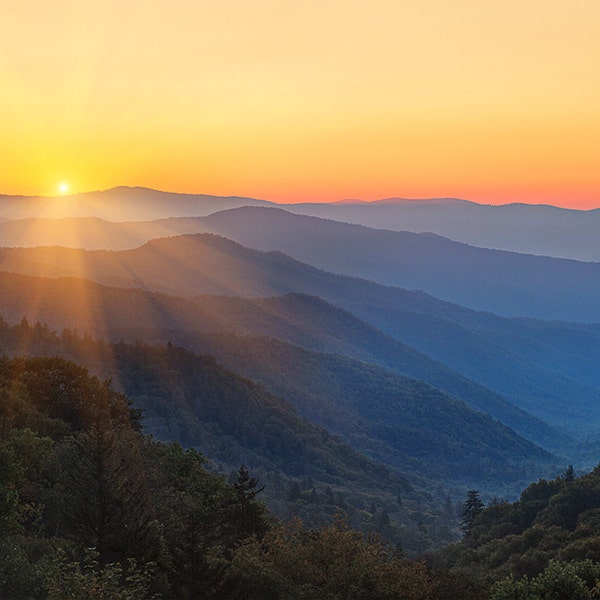 Morning Majesty in the Smoky Mountains Fine Art Photo from William Britten "Morning Majesty"