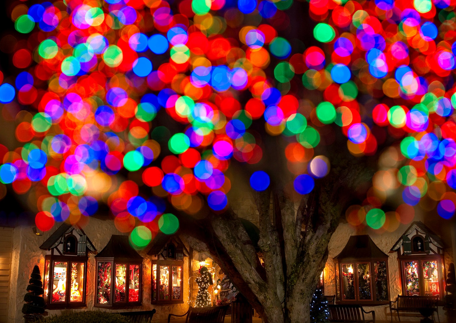 Christmas Lights Background Digital Download Fine Art Photography