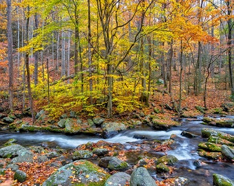 Smoky Mountains Digital Download Stock Photography - screen saver - computer wallpaper from William Britten