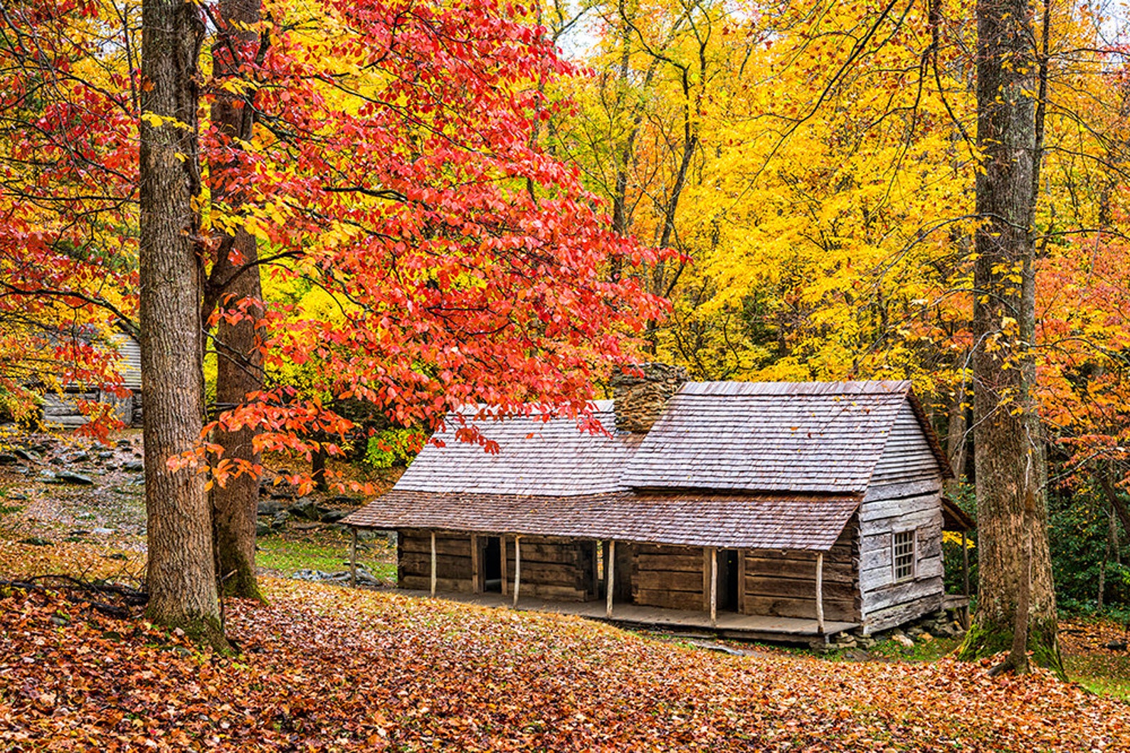 SALE Appalachian Autumn in the Smoky Mountains Fine Art Photo Etsy