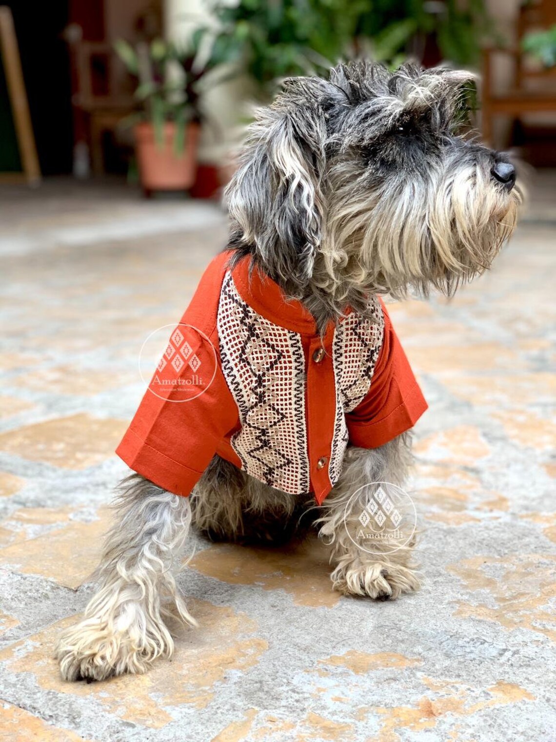 LOT OF 12 Mexican Guayaberas for Dog Model Lineasyucateca Etsy