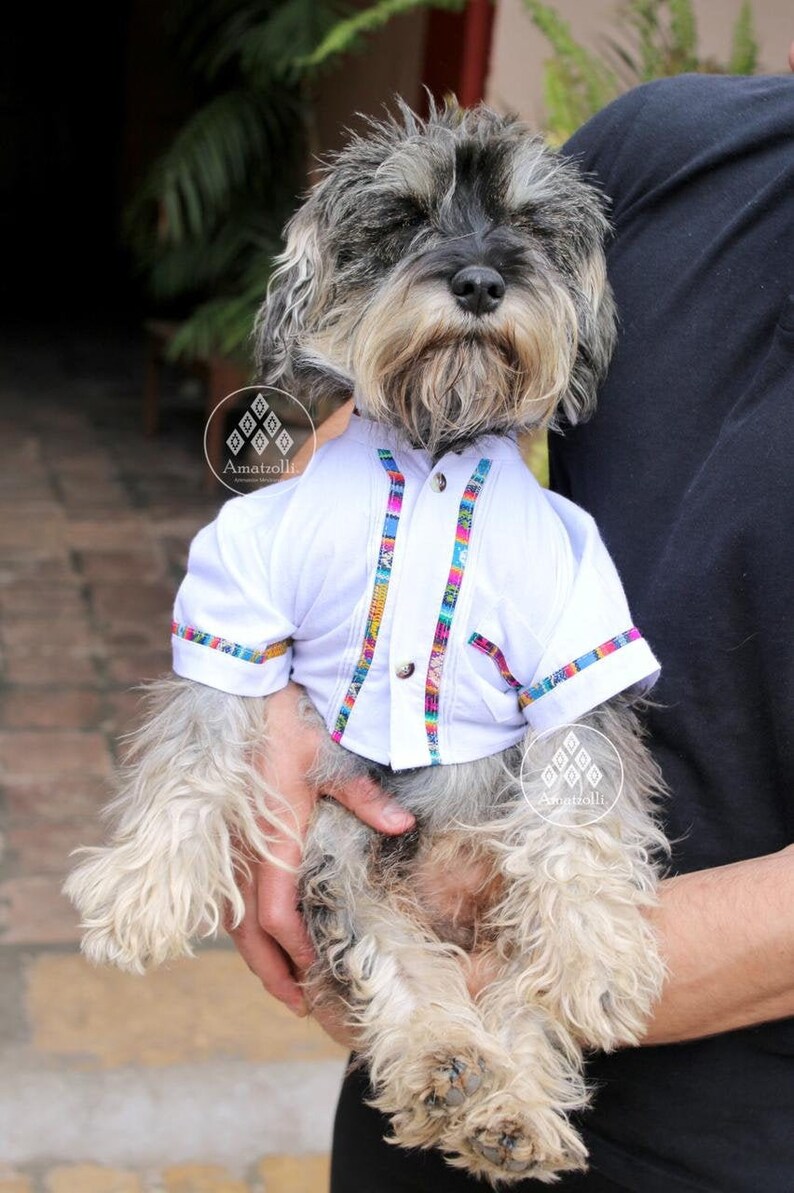 Mexican Guayabera for Dog Model Lineasyucateca Etsy