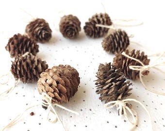 Piñas pequeñas con colgante, 9 adornos navideños, decoración de bosque, guirnalda rústica natural