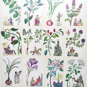 Conjunto de cartões postais botânicos vintage com plantas de especiarias e ervas curativas