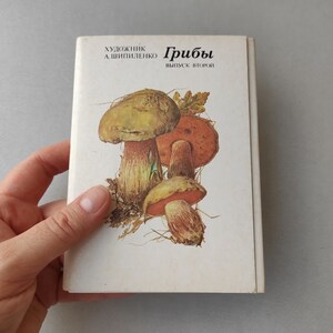 16 illustrations et descriptions de champignons Cartes postales anciennes soviétiques Guide des champignons