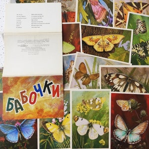 Cartes postales papillons et mites avec illustrations, ensemble vintage, cartes postales d'entomologie soviétique