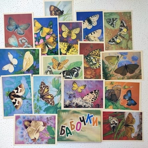 Jeu de cartes postales papillons et mites Illustrations couleur Vintage soviétique