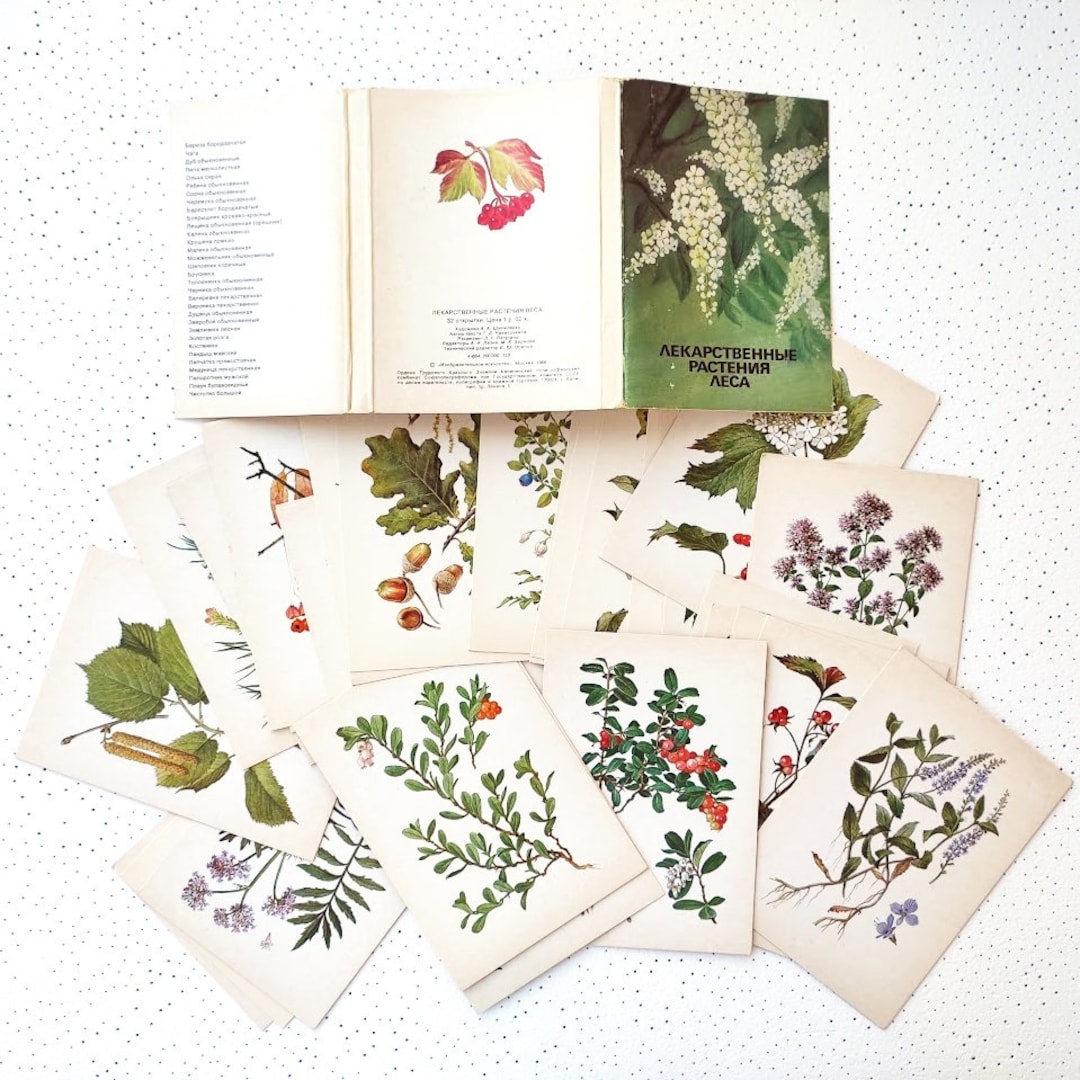 32 Postcards Forest Medicinal Plants, Vintage Botanical Postcard Set ...