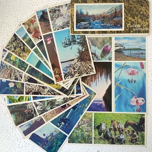 Vintage Postkarten Set Sibirien blüht Russland Russland Taiga Frühling 1970