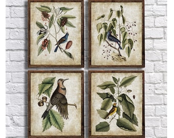 Botanical and Bird Wall Art set of 4 Download JPG File Instant Download Catesby Birds Burlap #7, 8, 9, 10