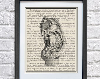 Gastroenterologist Decor Gift Anatomy Art Gastrointestinal Digestive System
