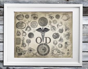 Doctor of Optometry OD Caduceus Eye Anatomy Medical Art - Instant Download - Optometrist Office Decor - Eye Doctor gift.