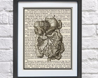 Gastroenterologist Decor Gift Anatomy Gut Bookart
