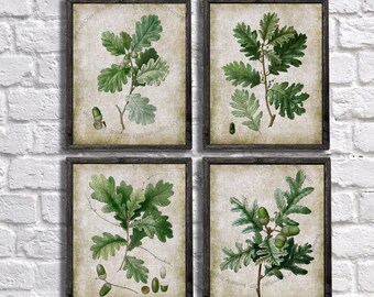 Green Plant Printable art - Set of 4 Oak leaves #2,3,4,5 - Vintage Botanical printable - Botanical art - Download DIY Farmhouse wall decor