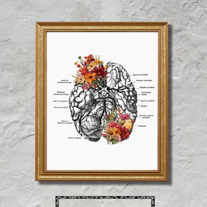 Brain Flower Anatomy Printable Art - Anatomy Art - Floral Art - Medical Art - Digital Download - Mental Health Professional Office Decor