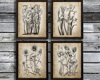 Antiker botanischer Druck 4er Set Pflanzenskizzen mit neutralem Vintage Leinen Hintergrund zum sofortigen Download