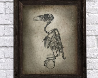 Halloween Printable Clip Art Bird Skeleton Anatomy Goth Art Digital Download