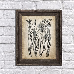 Antique Botanical Print no. 1 with neutral vintage linen background instant download
