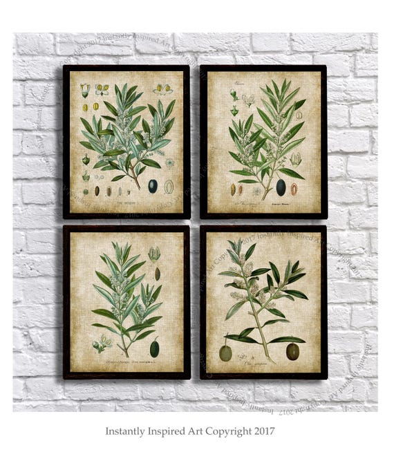 Green Leaf Art Botanical Printable Art - Set of 4 Olive plant - Green plant decor - Instant download Olive Plants #1,2,3,4