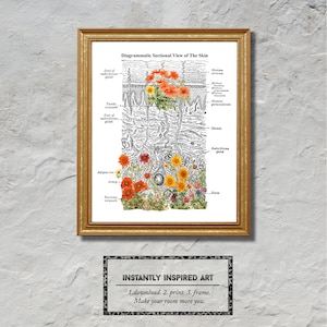 Dermatología Anatomía floral Piel Arte imprimible - Descarga digital - Decoración de la oficina del dermatólogo - Decoración de la pared del esteticista - Decoración de la pared del cuidado de la piel