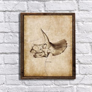 Triceratops - dinosaur printable - dinosaur nursery wall decor - dinosaur wall decor - Instant download Triceratops print #2