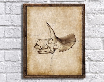 Triceratops - Dinosaurio imprimible - Decoración de pared para guardería de dinosaurios - Decoración de pared de dinosaurios - Descarga instantánea Impresión de Triceratops n.° 2