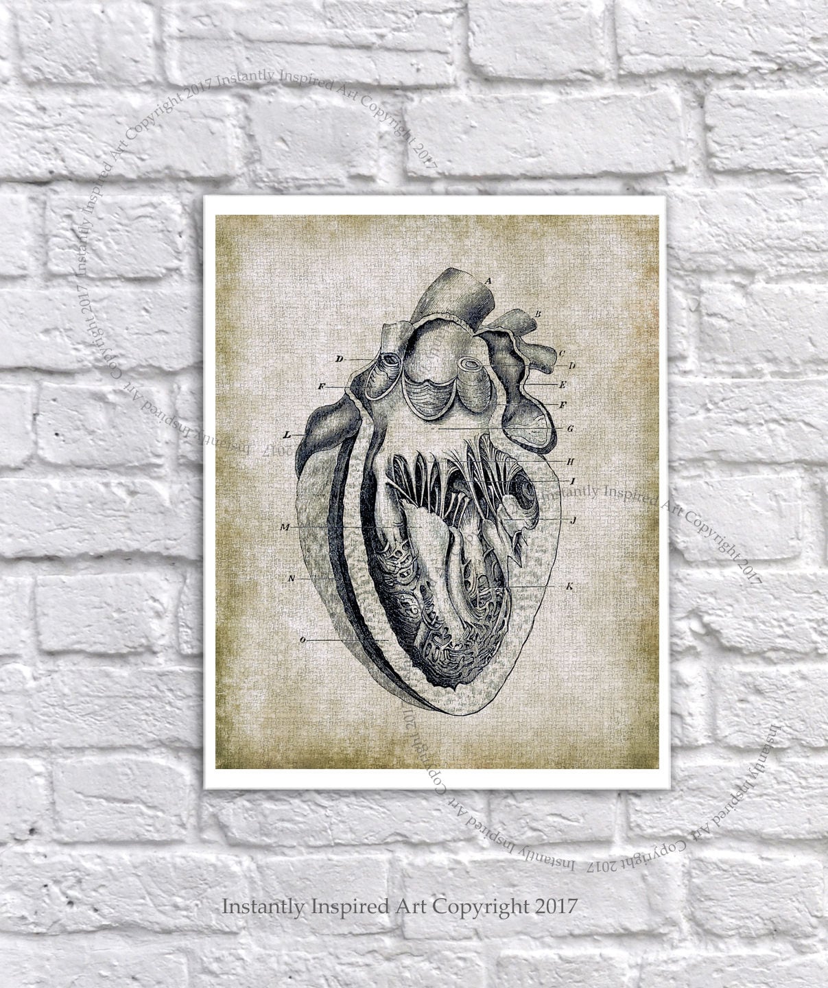 Vintage Anatomy Wall Decor Human Heart Medical Textbook Anatomy Art ...