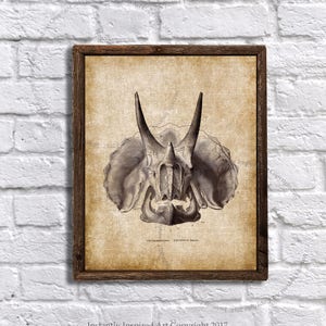 Triceratops - dinosaur printable - dinosaur nursery wall decor - dinosaur wall decor - Instant download Triceratops print #1