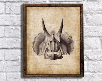 Triceratops - lámina imprimible de dinosaurio - decoración de pared para habitación infantil con temática de dinosaurios - decoración de pared de dinosaurios - Descarga instantánea Lámina de Triceratops n.º 1