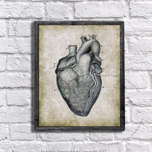 Vintage Anatomy Wall Decor Human Heart Medical Textbook Anatomy Art Printable Instant Download Anatomy Print #7