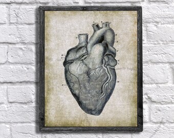 Vintage Anatomy Wall Decor Human Heart Medical Textbook Anatomy Art Printable Instant Download Anatomy Print #7