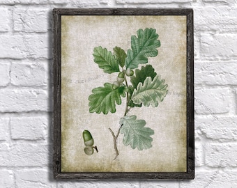 Vintage Botanical Printable art - Oak leave #2 - Vintage burlap textured printable - Botanical art - Download this DIY Farmhouse wall decor