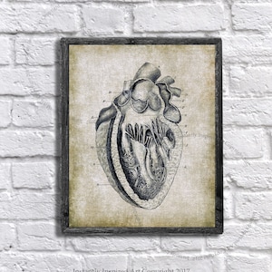 Vintage Anatomy Wall Decor Human Heart Medical Textbook Anatomy Art Printable Instant Download Anatomy Print #9