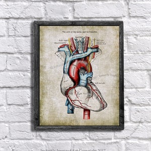 Vintage Anatomy Wall Decor Human Heart Medical Textbook Anatomy Art Printable Instant Download Anatomy Print #10
