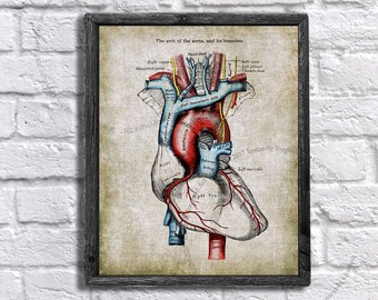 Vintage Anatomy Wall Decor Human Heart Medical Textbook Anatomy Art Printable Instant Download Anatomy Print #10