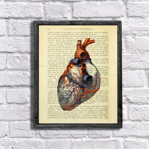 Heart Anatomy Art Decor Human Heart Printable Instant Download - nurse gift - medical student gift - Valentine&#39;s Day Decor