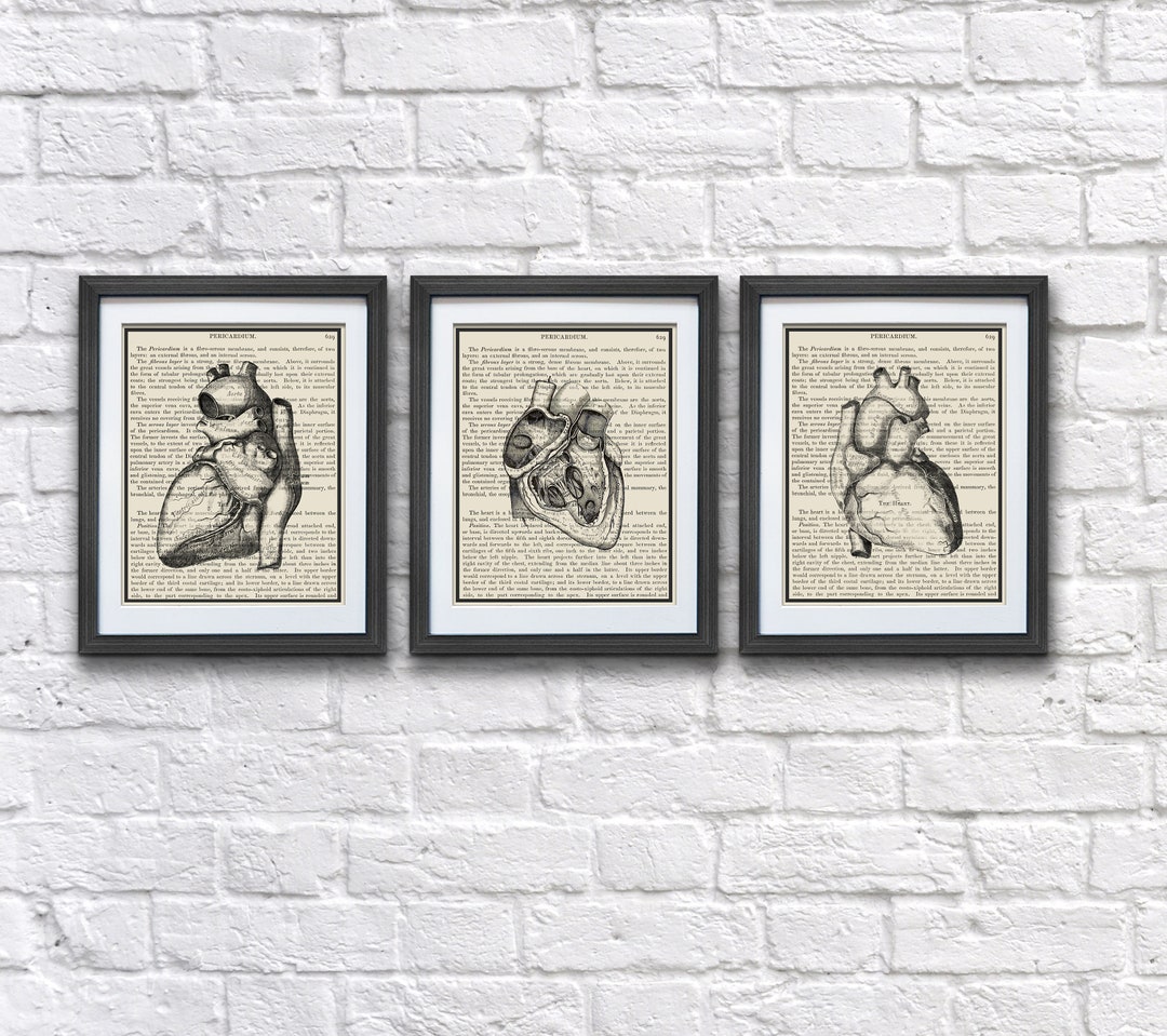 Anatomy Heart Book Art #3A123 Set of 3 Digital Download Printable ...
