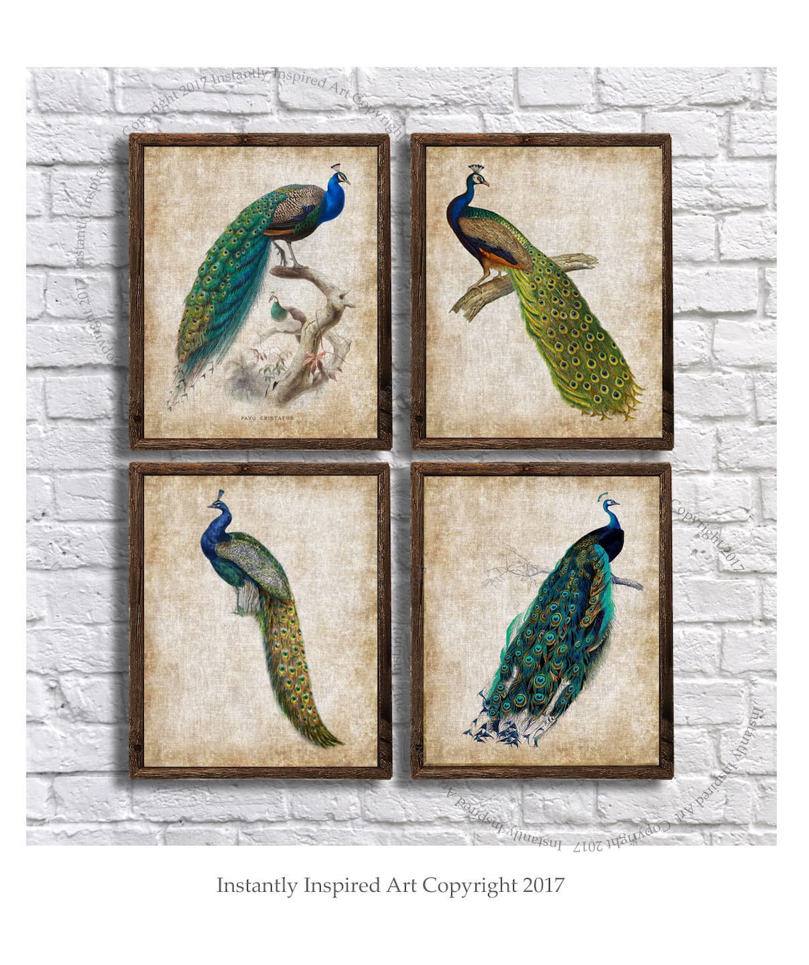 Vintage Peacock Art Set of 4 Peacock Prints Peacock Bathroom Decor Peacock Bedroom Wall Art