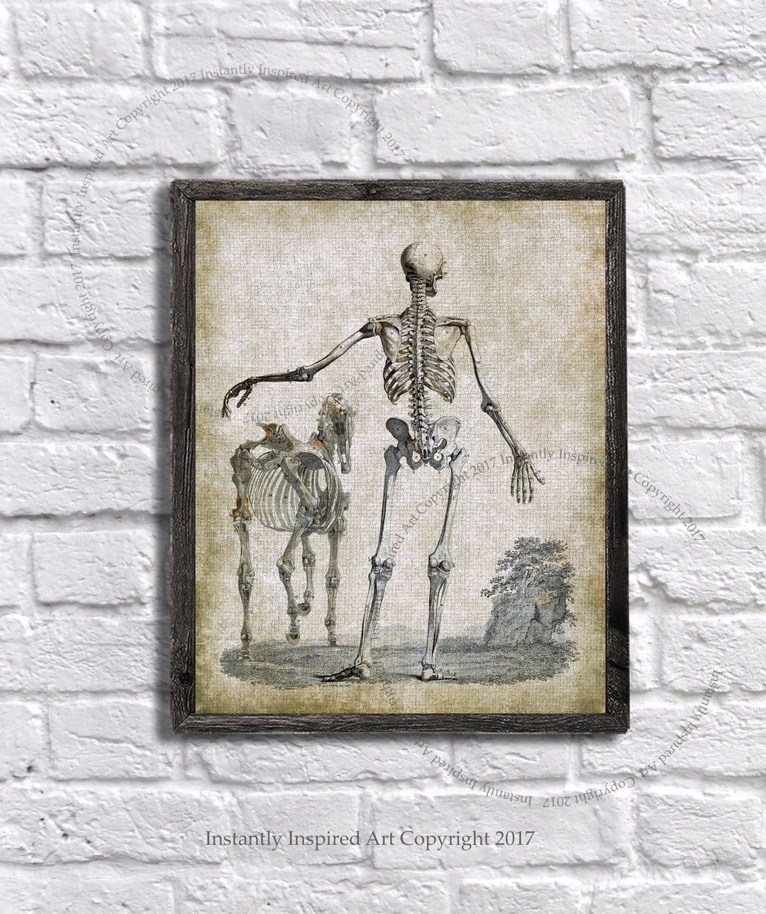 Halloween Printable Art Human and Horse Skeleton Anatomy With - Etsy
