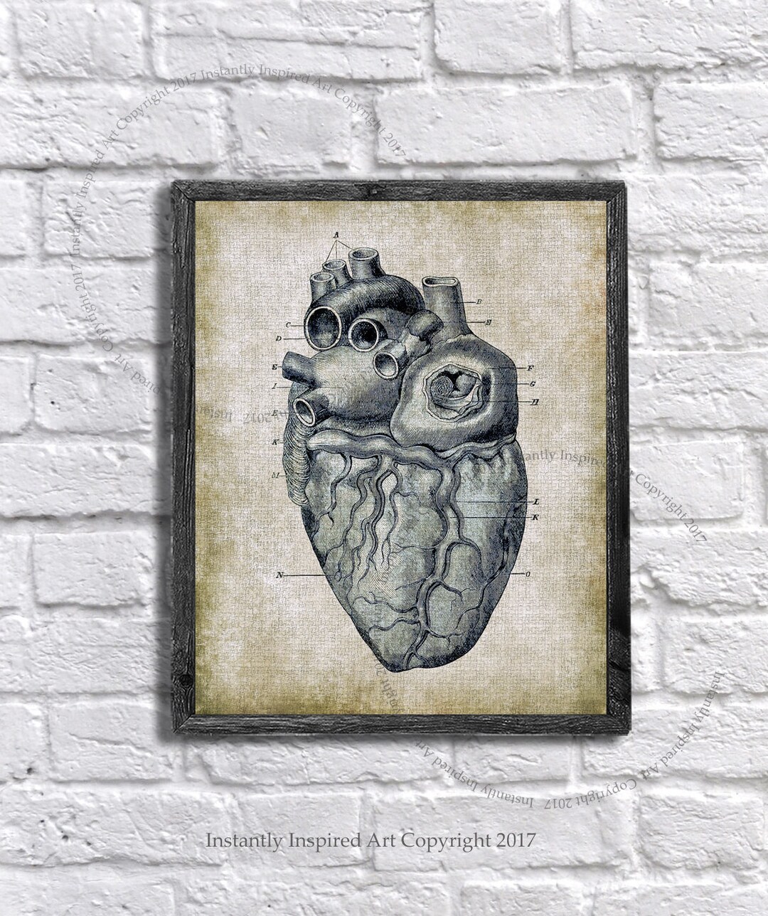 Vintage Anatomy Wall Decor Human Heart Medical Textbook Anatomy Art ...