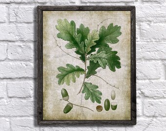Vintage Botanical Printable art - Oak leave #4 - Vintage burlap textured printable - Botanical art - Download this DIY Farmhouse wall decor