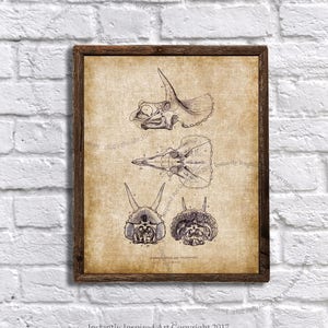 Triceratops - dinosaur printable - dinosaur nursery wall decor - dinosaur wall decor - Instant download Triceratops print #3