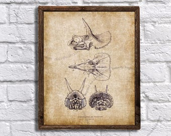 Triceratops - lámina imprimible de dinosaurio - decoración de pared para habitación infantil con temática de dinosaurios - decoración de pared de dinosaurios - Descarga instantánea de la lámina de Triceratops n.° 3