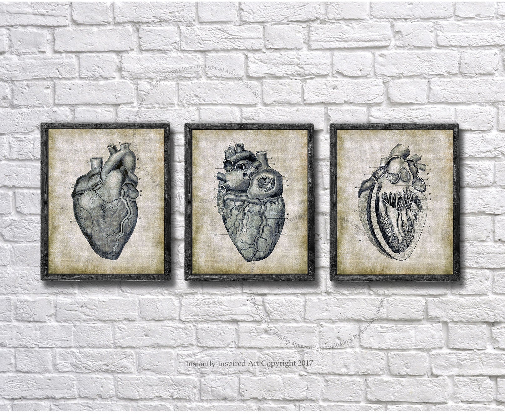 Anatomy Decor Human Heart Set of 3 Medical Textbook Anatomy Art ...