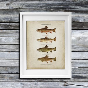 Brook Trout Fish Print- Trout Fishing Art - Fly Fishing - Angling Art - Fly Fishing Decor - Trout Wall Decor -DIY fishing decor