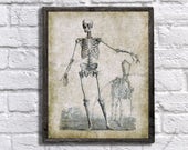 Halloween decorations Art Human and horse Skeleton Anatomy with vintage burlap textured background Instant Download Skeleton_vintage #1